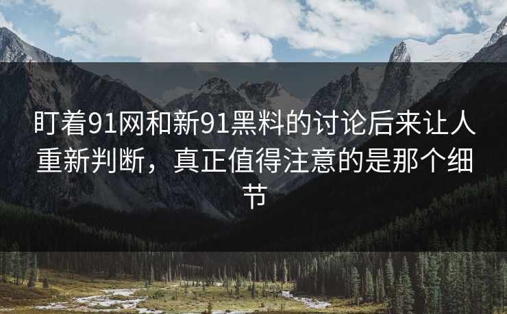 盯着91网和新91黑料的讨论后来让人重新判断，真正值得注意的是那个细节