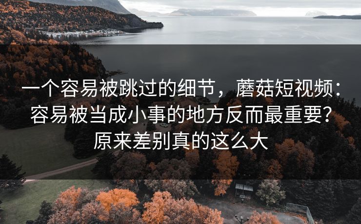 一个容易被跳过的细节，蘑菇短视频：容易被当成小事的地方反而最重要？原来差别真的这么大