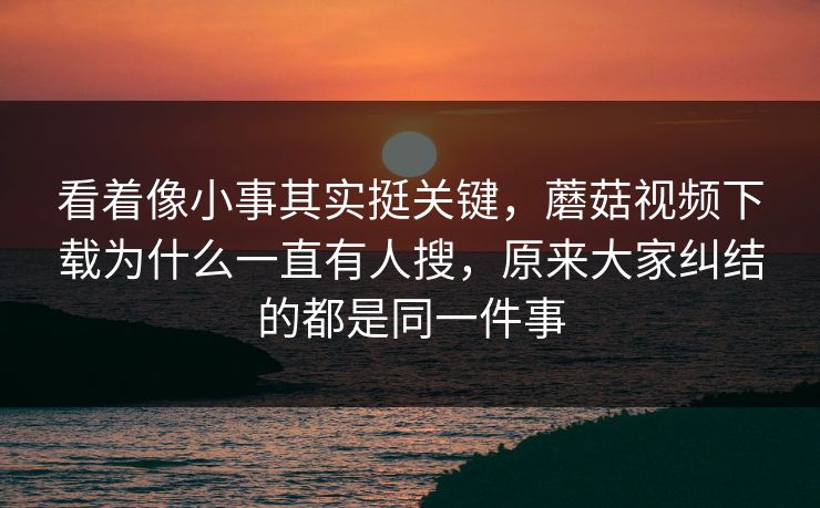 看着像小事其实挺关键，蘑菇视频下载为什么一直有人搜，原来大家纠结的都是同一件事