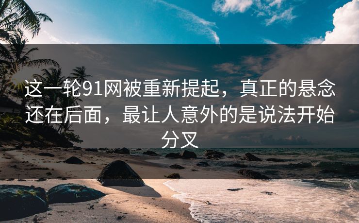 这一轮91网被重新提起,真正的悬念还在后面,最让人意外的是说法开始分叉 这一轮91网被重新提起,真正的悬念还在后面,最让人意外的是说法开始分叉