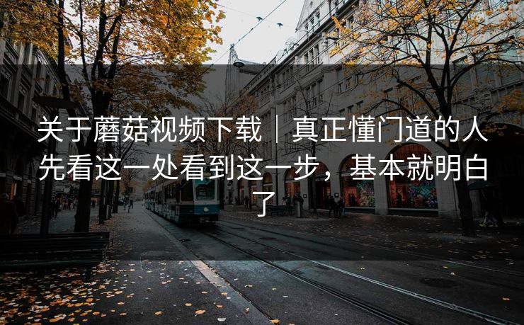 关于蘑菇视频下载｜真正懂门道的人先看这一处看到这一步，基本就明白了