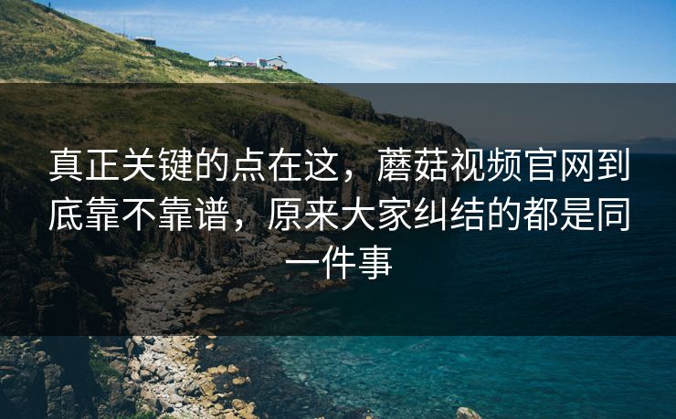 真正关键的点在这，蘑菇视频官网到底靠不靠谱，原来大家纠结的都是同一件事