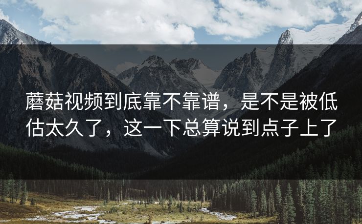 蘑菇视频到底靠不靠谱，是不是被低估太久了，这一下总算说到点子上了
