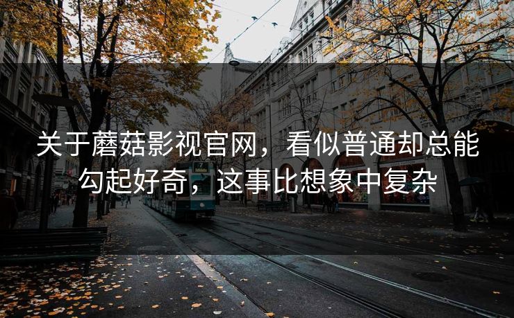 关于蘑菇影视官网，看似普通却总能勾起好奇，这事比想象中复杂