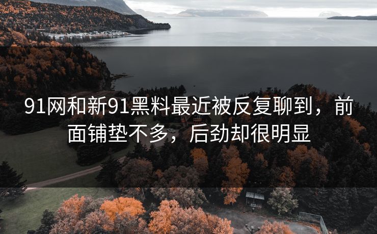 91网和新91黑料最近被反复聊到，前面铺垫不多，后劲却很明显